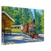 Steam loco at Portland Zoo Railway, Oregon 1960s – Canvas Print 30c3672d-7dc1-4bba-b758-f2f46c986dbc