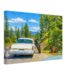 Bears and Chrysler 300 in Yellowstone National Park 1960s – Canvas Print