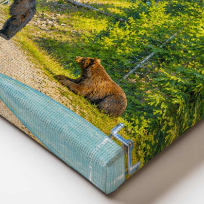 Mirrored edge detail on a Places Remembered canvas print